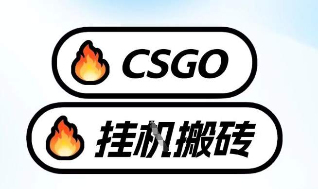 真全网独家CSGO挂G，最新玩法,单日捡漏1K+，不用电脑，不用打游戏【揭秘】-网赚副业网
