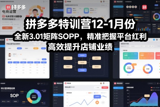 拼多多特训营12-1月份,全新3.01矩阵Sop,精准把握平台红利,高效提升店铺业绩-网赚副业网
