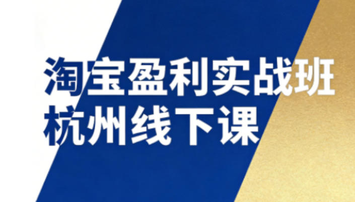 淘宝盈利实战班杭州线下课12月26-28日（音频+字幕），帮你掌握SOP流程+12门核心技术-网赚副业网