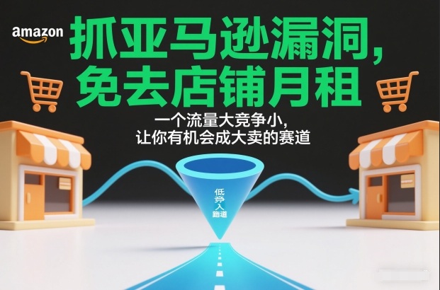 抓亚马逊漏洞,免去店铺月租,一个流量大竞争小,让你有机会成大卖的赛道-网赚副业网