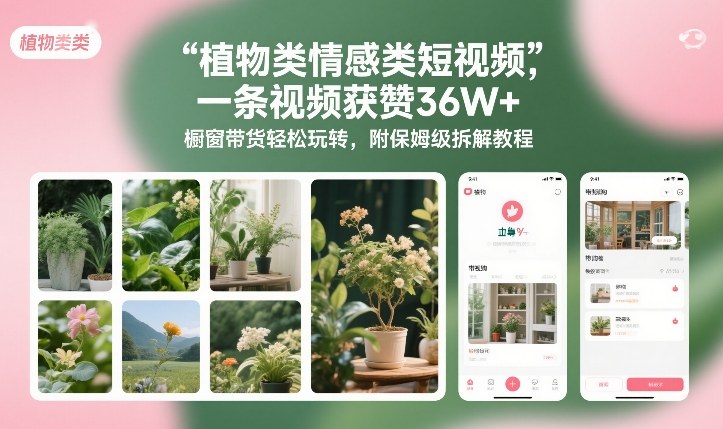 植物类情感类短视频,一条视频获赞36W+,橱窗带货轻松玩转,附保姆级拆解教程-网赚副业网