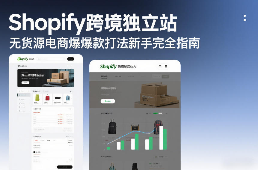 Shopify跨境独立站无货源电商爆款打法新手完全指南-网赚副业网