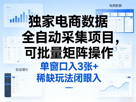 独家电商数据全自动采集项目，可批量矩阵操作，单窗口日入3张+，稀缺玩法闭眼入【揭秘】-网赚副业网