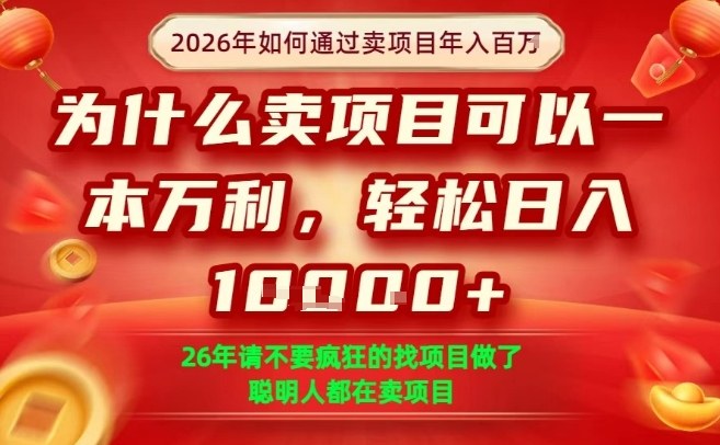 一单净利润1K+,26年想年入100个W,死磕卖项目就够了【揭秘】-网赚副业网