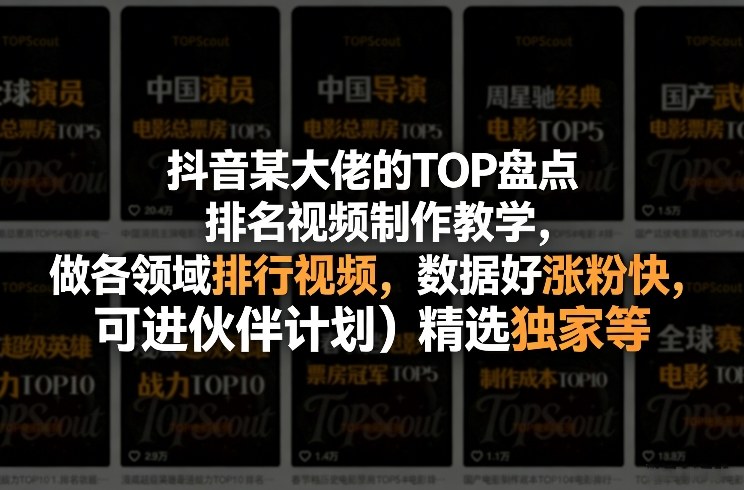 抖音某大佬的TOP盘点排名视频制作,做各领域排行视频,数据好涨粉快,可进伙伴计划+精选独家等-网赚副业网