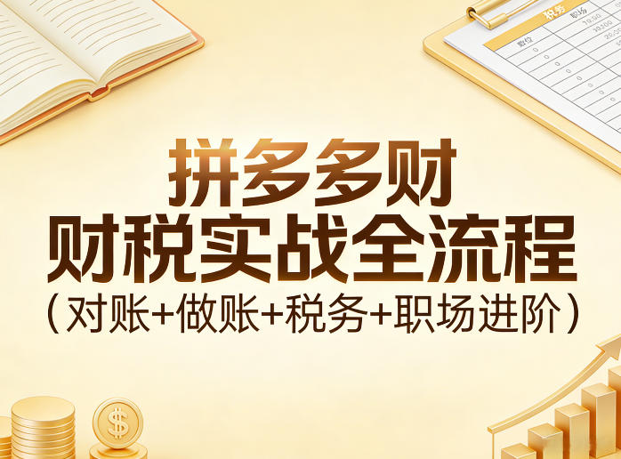 拼多多财税实战全流程(对账+做账+税务+职场进阶)-网赚副业网