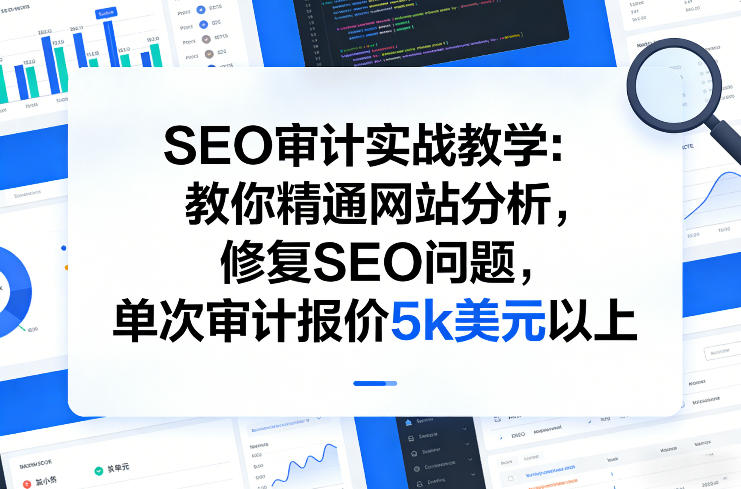 SEO审计实战教学:教你精通网站分析,修复SEO问题,单次审计报价5k美元以上-网赚副业网