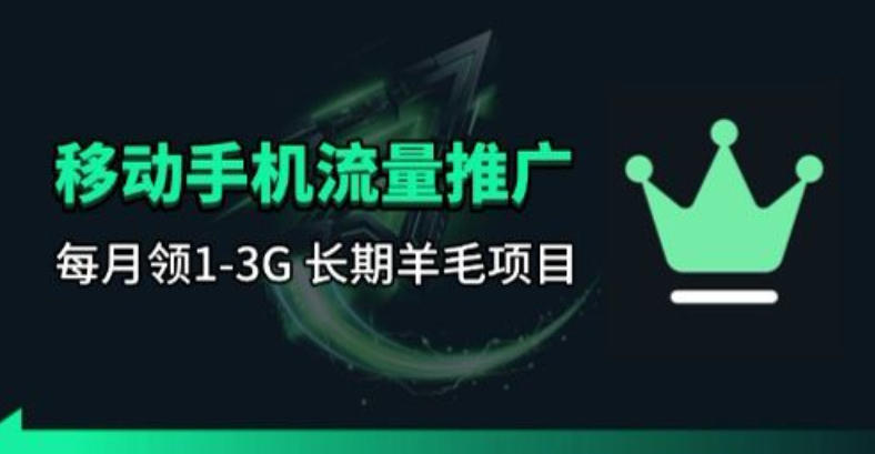 手机流量领取推广_每月一轮,刚需类的长期项目-网赚副业网