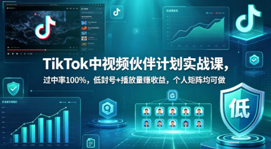 TikTok中视频伙伴计划实战课，过中率100%，低封号+播放量賺收益，个人矩阵均可做-网赚副业网