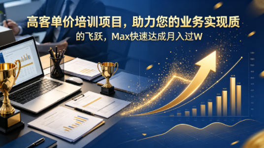 高客单价培训项目，助力您的业务实现质的飞跃，Max快速达成月入过W【原创双语字幕】-网赚副业网
