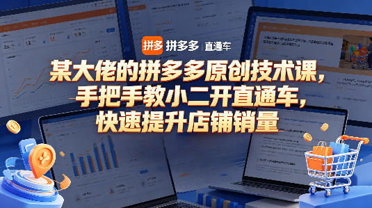 某大佬的拼多多原创技术课,手把手教小二开直通车,快速提升店铺销量-网赚副业网