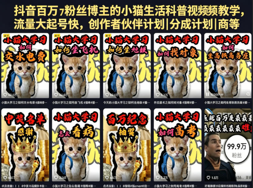 抖音百万粉丝博主的小猫生活科普视频教学，流量大起号快，创作者伙伴计划|分成计划|商单|收徒等-网赚副业网
