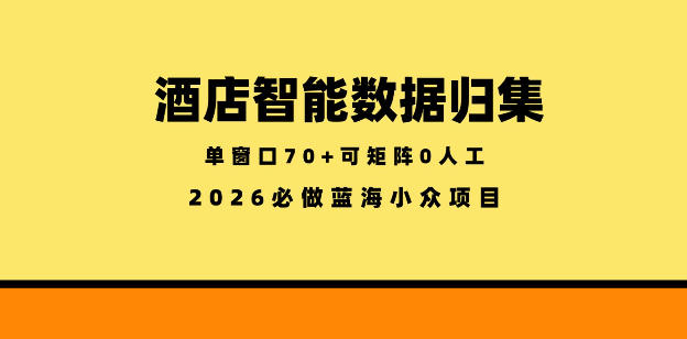 酒店智能数据归集,小众蓝海已经稳定半年之久,单窗口70+零成本矩阵开干【揭秘】-网赚副业网