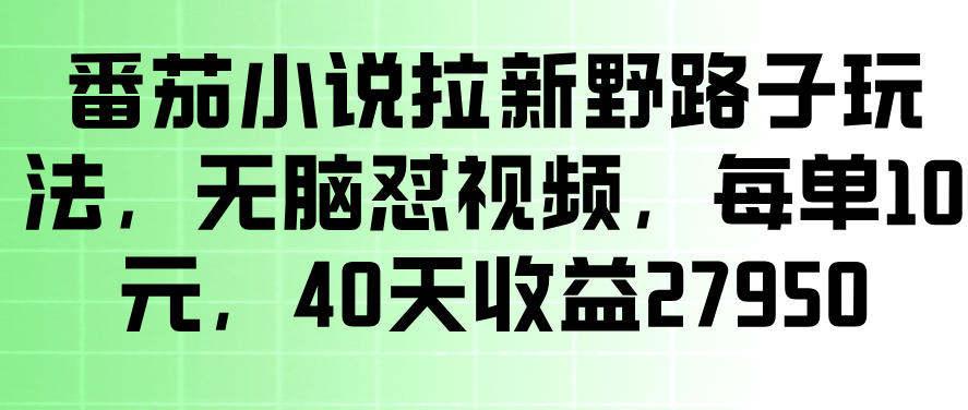 番茄小说拉新野路子玩法,无脑怼视频,玩法简单、见效快,每单10米,40天收益27950-网赚副业网