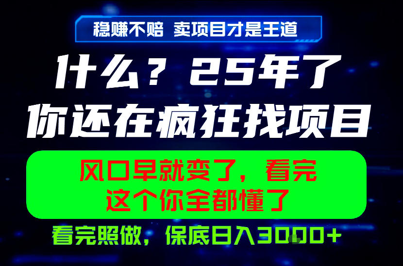 26年,请不要疯狂的找项目做了!卖项目才是真的稳賺不赔,看完照做,保底日入1k+【揭秘】-网赚副业网