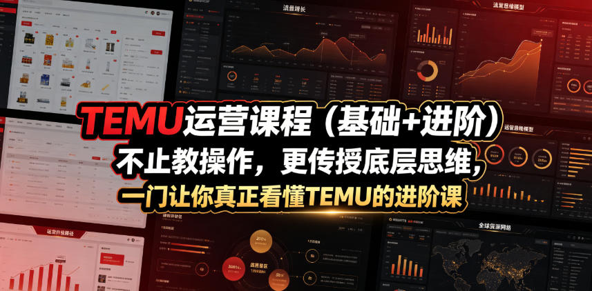 TEMU运营课程(基础+进阶),不止教操作,更传授底层思维,一门让你真正看懂TEMU的进阶课-网赚副业网