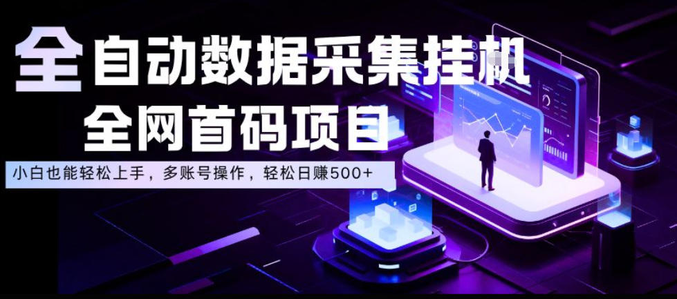 全自动数据采集挂G,全网首码项目,简单易操作,小白也能轻松上手,多账号操作,轻松日入500+【揭秘】-网赚副业网