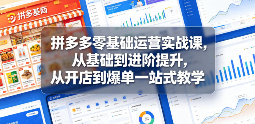 拼多多零基础运营实战课,从基础到进阶提升,从开店到爆单一站式教学-网赚副业网