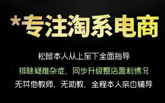 松鼠会电商VIP课程,从基础布局到高阶优化,助你掌握淘宝运营逻辑,提升店铺流量与转化-网赚副业网