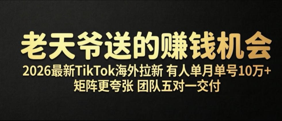 老天爷送的賺钱机会!2026最新TikTok海外拉新,有人单月单号10W+,矩阵更夸张,团队交付【揭秘】-网赚副业网