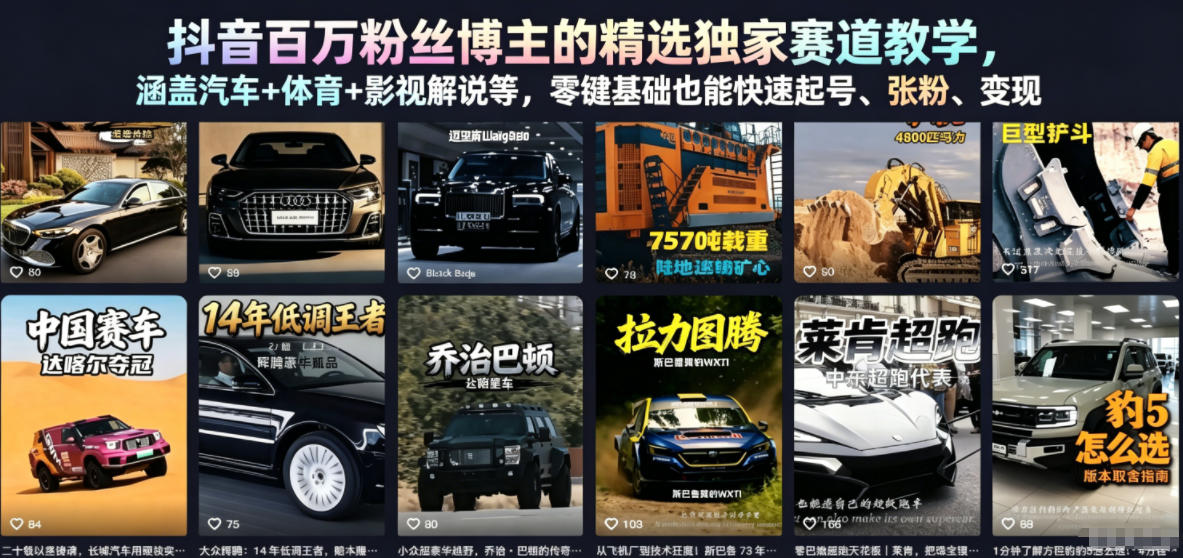 抖音百万粉丝博主的精选独家赛道教学,涵盖汽车+体育+影视解说等,零基础也能快速起号、涨粉、变现(更新0701)-网赚副业网