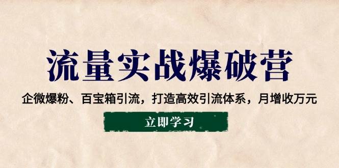 (14039期)流量实战爆破营:企微爆粉、百宝箱引流,打造高效引流体系,月增收万元-网赚副业网