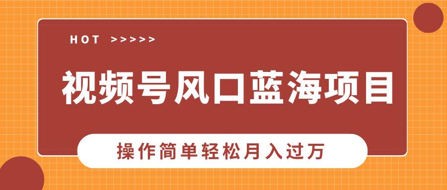 (13945期)视频号风口蓝海项目,中老年人的流量密码,操作简单轻松月入过万-网赚副业网