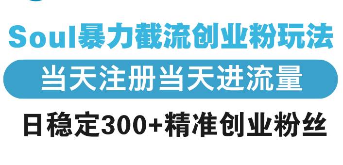 (13935期)Soul暴力截流创业粉玩法,当天注册当天进流量,日稳定300+精准创业粉丝-网赚副业网