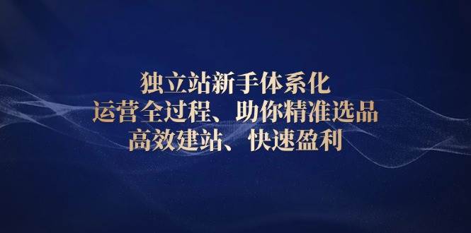 (13914期)独立站新手体系化 运营全过程,助你精准选品、高效建站、快速盈利-网赚副业网