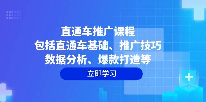 (14001期)直通车推广课程:包括直通车基础、推广技巧、数据分析、爆款打造等-网赚副业网