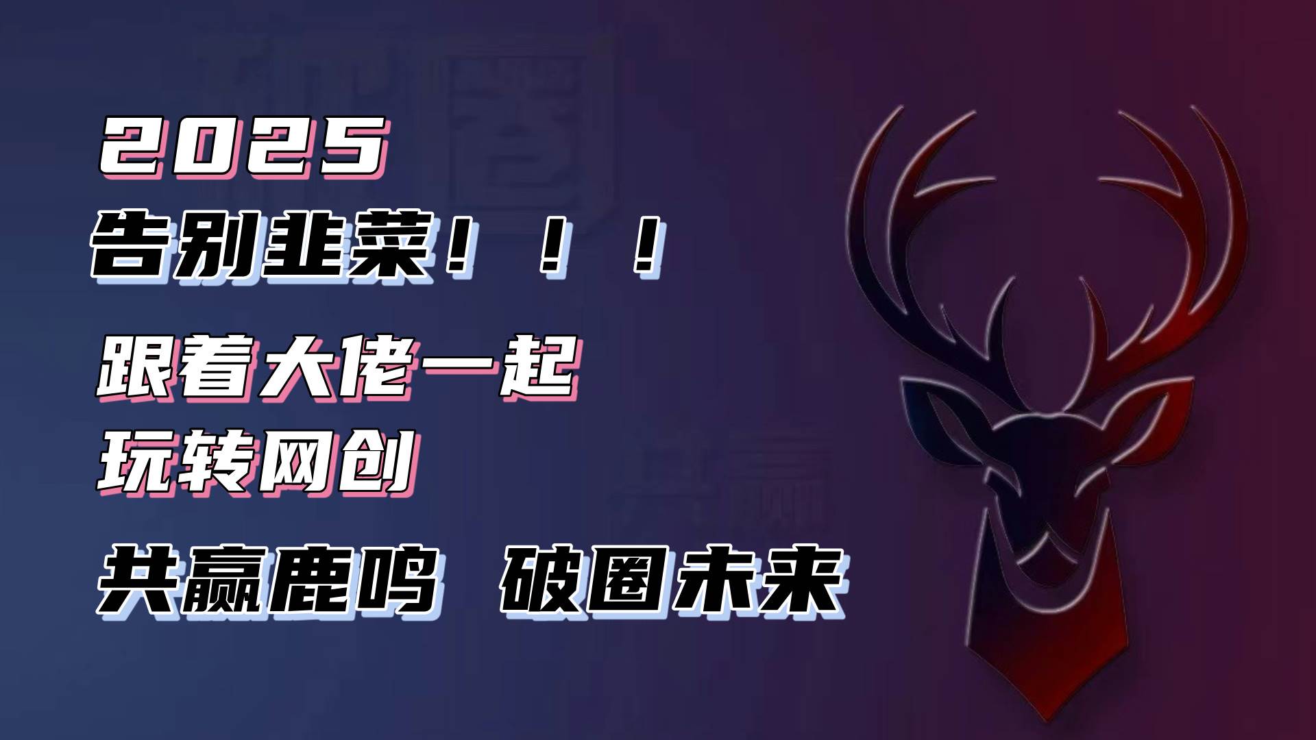 (13896期)告别韭菜!2025知识付费风口项目,小白也能闭眼操作!-网赚副业网