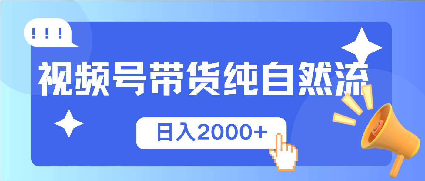 (13998期)视频号带货,纯自然流,起号简单,爆率高轻松日入2000+-网赚副业网