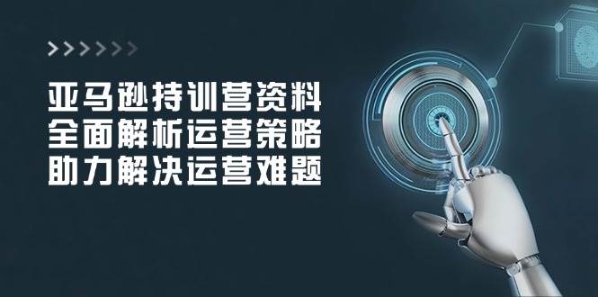 (14033期)亚马逊持训营资料,全面解析运营策略,助力解决运营难题-网赚副业网