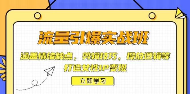 (14008期)流量引爆实战班,涵盖情绪触点,剪辑技巧,投放逻辑等,打造女性IP变现-网赚副业网