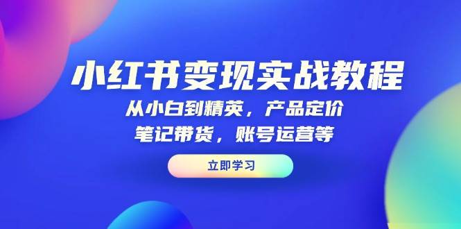 (13923期)小红书变现实战教程:从小白到精英,产品定价,笔记带货,账号运营等-网赚副业网