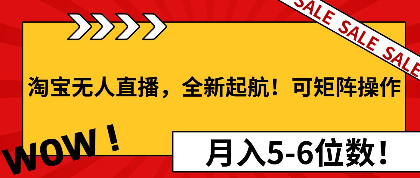(13946期)淘宝无人直播,全新起航!可矩阵操作,月入5-6位数!-网赚副业网