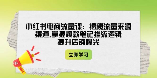 (14318期)小红书电商流量课:揭秘流量来源渠道,掌握爆款笔记推流逻辑,提升店铺曝光-网赚副业网