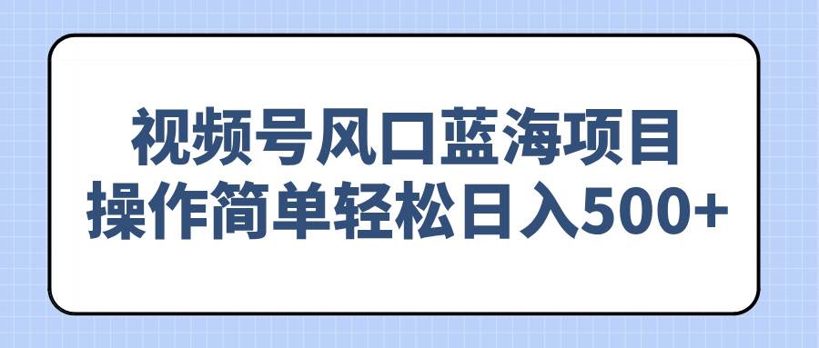 (14276期)视频号风口蓝海项目,操作简单轻松日入500+-网赚副业网