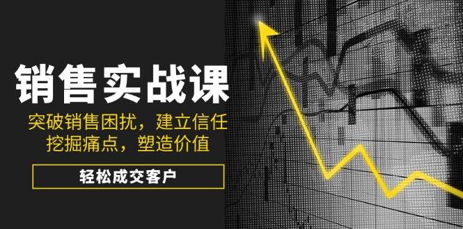 (14297期)销售实战课,突破销售困扰,建立信任,挖掘痛点,塑造价值,轻松成交客户-网赚副业网