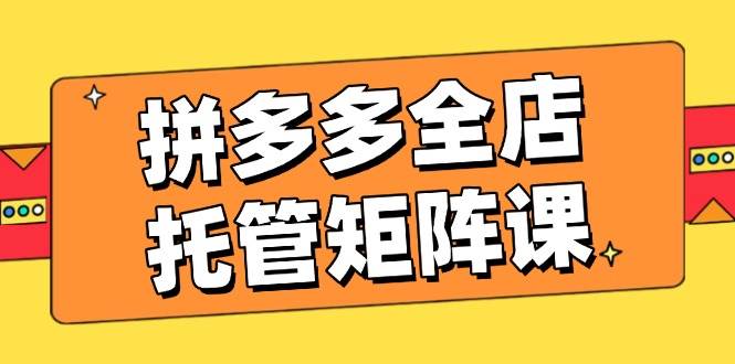 (14328期)拼多多全店托管矩阵课,盈利动销玩法,高效计划设置,提升店铺效益-网赚副业网