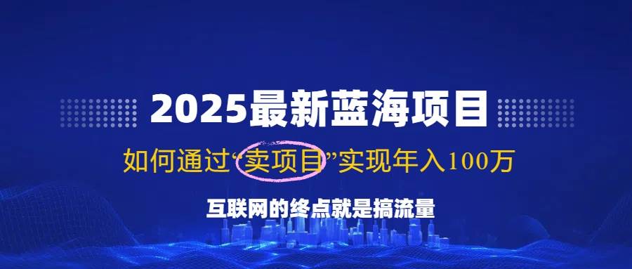 (14305期)2025最新蓝海项目,零门槛轻松复制,月入10万+,新手也能操作!-网赚副业网