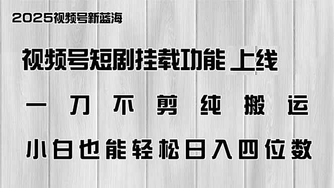 (14310期)视频号短剧挂载功能上线,一刀不剪纯搬运,小白也能轻松日入四位数-网赚副业网