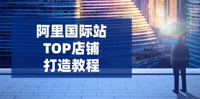 (14269期)阿里国际站TOP店铺打造教程:涵盖平台到高阶,解决运营难题,提升询盘-网赚副业网