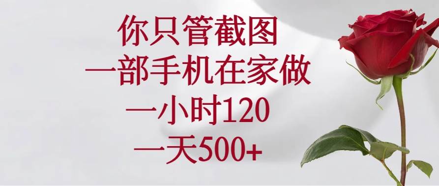 (14248期)你只管截图,一部手机在家做,一小时120,一天500+-网赚副业网