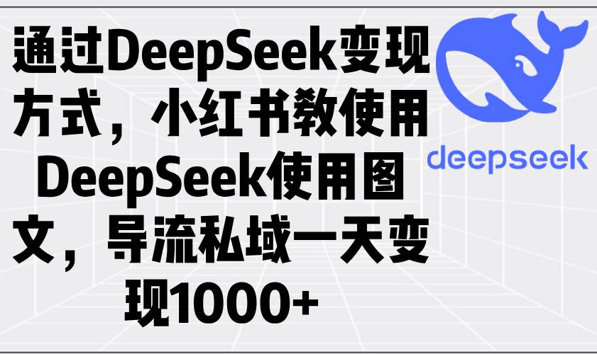 (14179期)通过DeepSeek变现方式,小红书教使用DeepSeek图文,导流私域一天变现1000+-网赚副业网