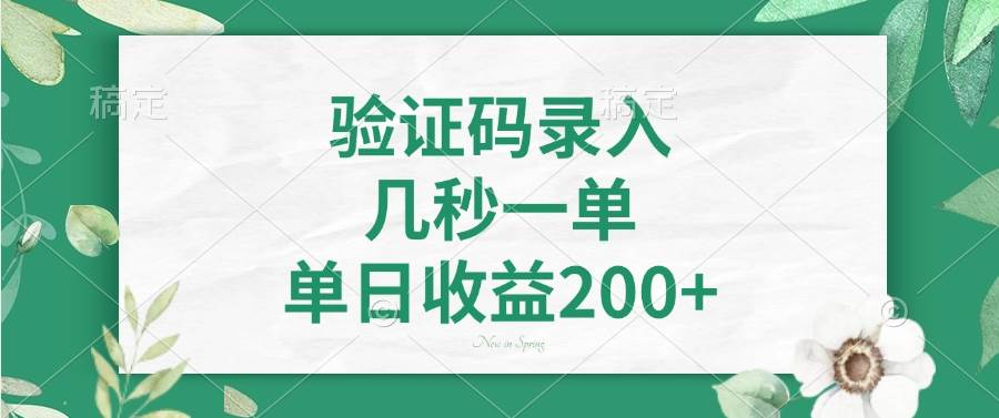 (14221期)验证码录入,几秒一单,单日收益200+-网赚副业网