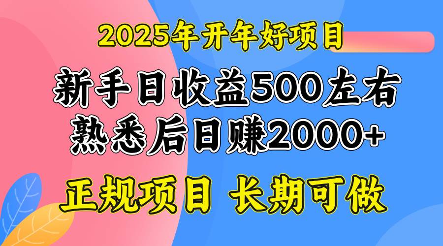 (14076期)2025开年好项目,单号日收益2000左右-网赚副业网