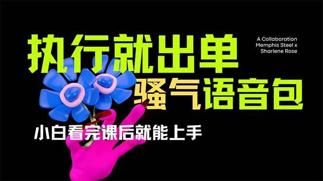 （14170期）爆火全网的开车导航骚气语音包,只要执行就出单，小白看完课程就能实操...-网赚副业网