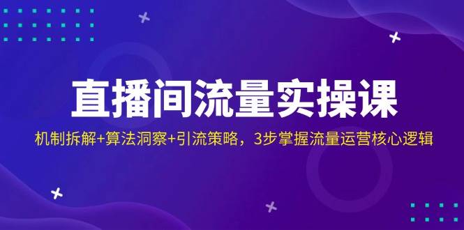 (14122期)直播间流量实操课:机制拆解+算法洞察+引流策略,3步掌握流量运营核心逻辑-网赚副业网