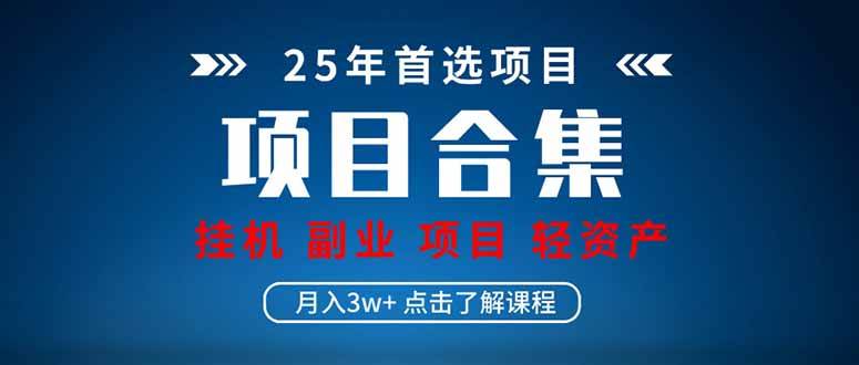 (14175期)2025 实操项目合集 挂机类型 直播类型 轻资产创业类型 课程分享各项目...-网赚副业网